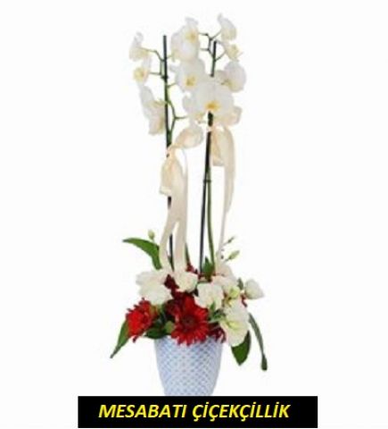 Lisyantus Ve Gerberalı Beyaz Orkide